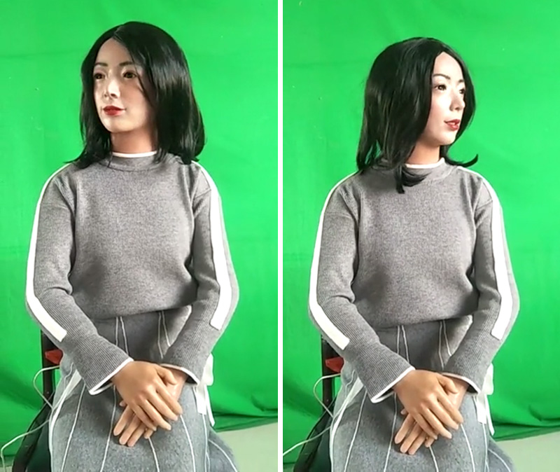 膚色仿真機器人 膚色仿真機器人